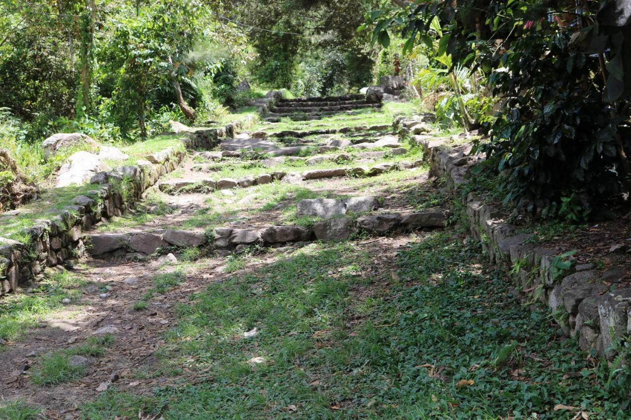 Llactapata Lodge Overlooking Machu Picchu - Camping - Restaurant Salcantay Eksteriør bilde