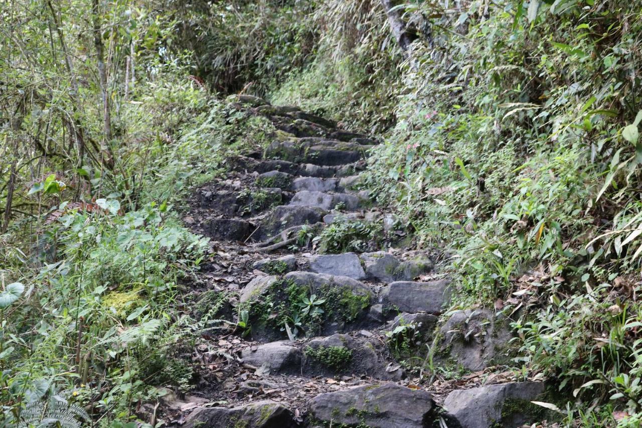 Llactapata Lodge Overlooking Machu Picchu - Camping - Restaurant Salcantay Eksteriør bilde